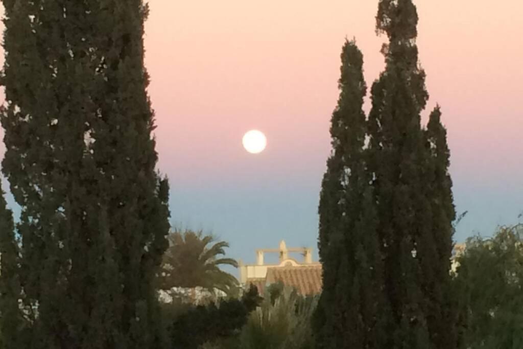 Privates Ferienhaus Villa De Paz - Costa Blanca โอริอุเอลา ภายนอก รูปภาพ